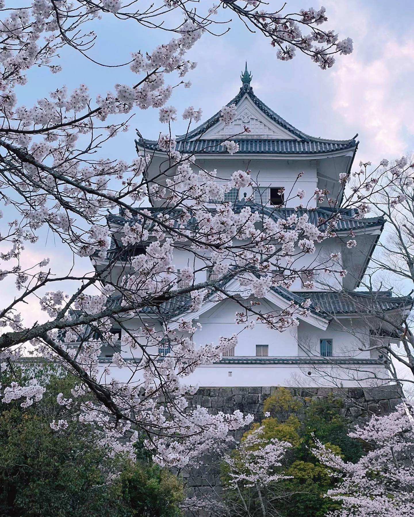 今月のリゾットのご紹介🍽