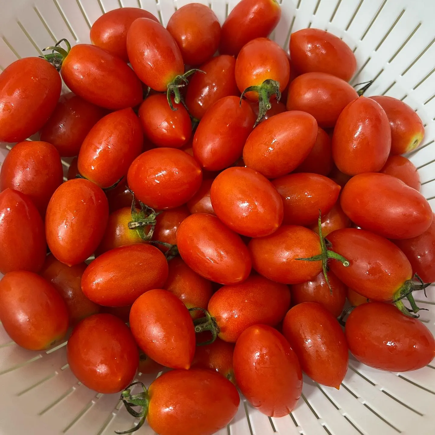 今月のマルシェパスタ🍝