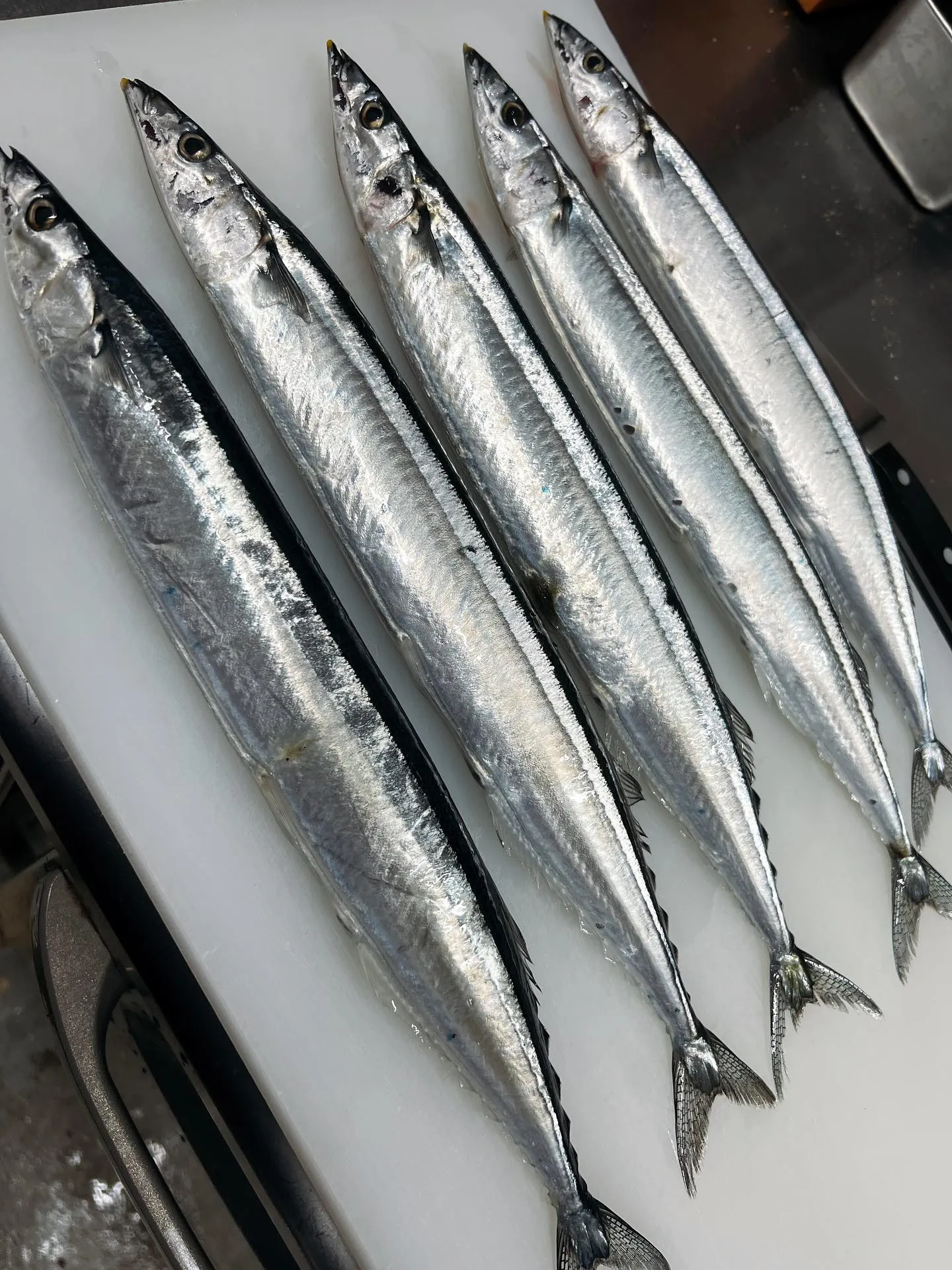 今月のパスタ🍝