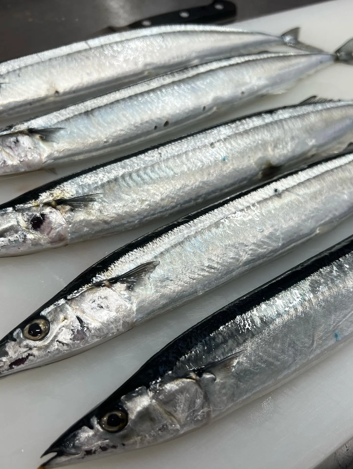 《　マルシェオードブル　》