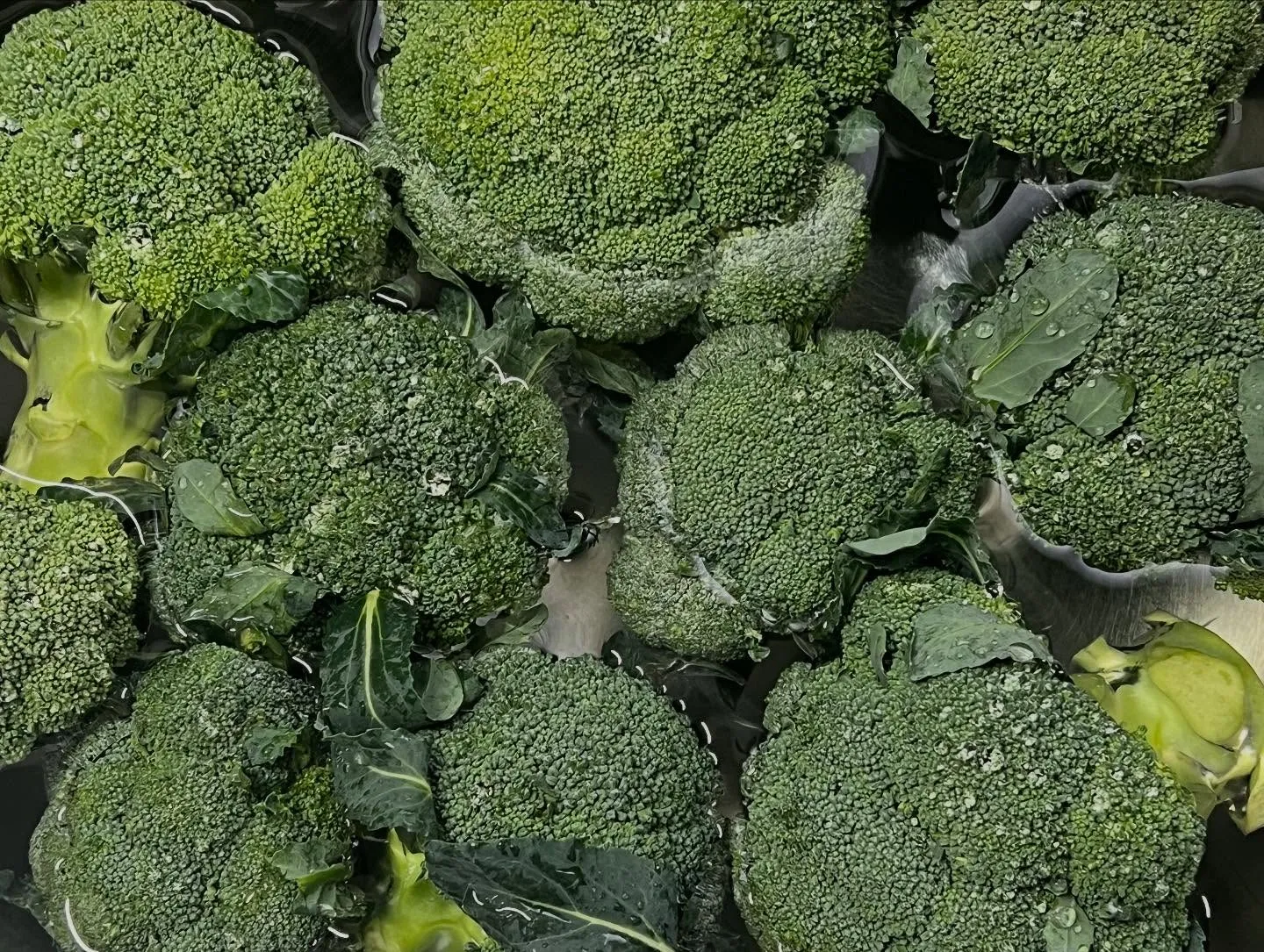 《 ブロッコリーポタージュ 》