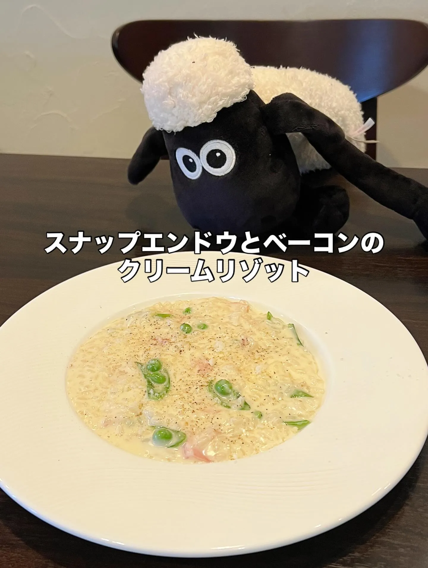 《 今月のリゾット 》