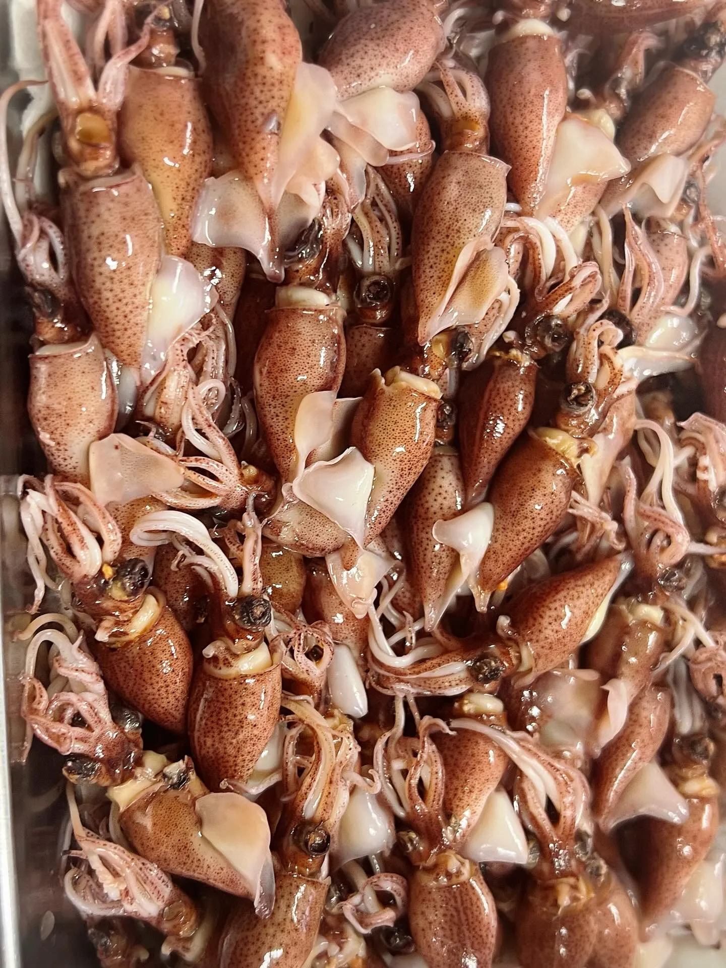 《　今週のアラカルト営業　》