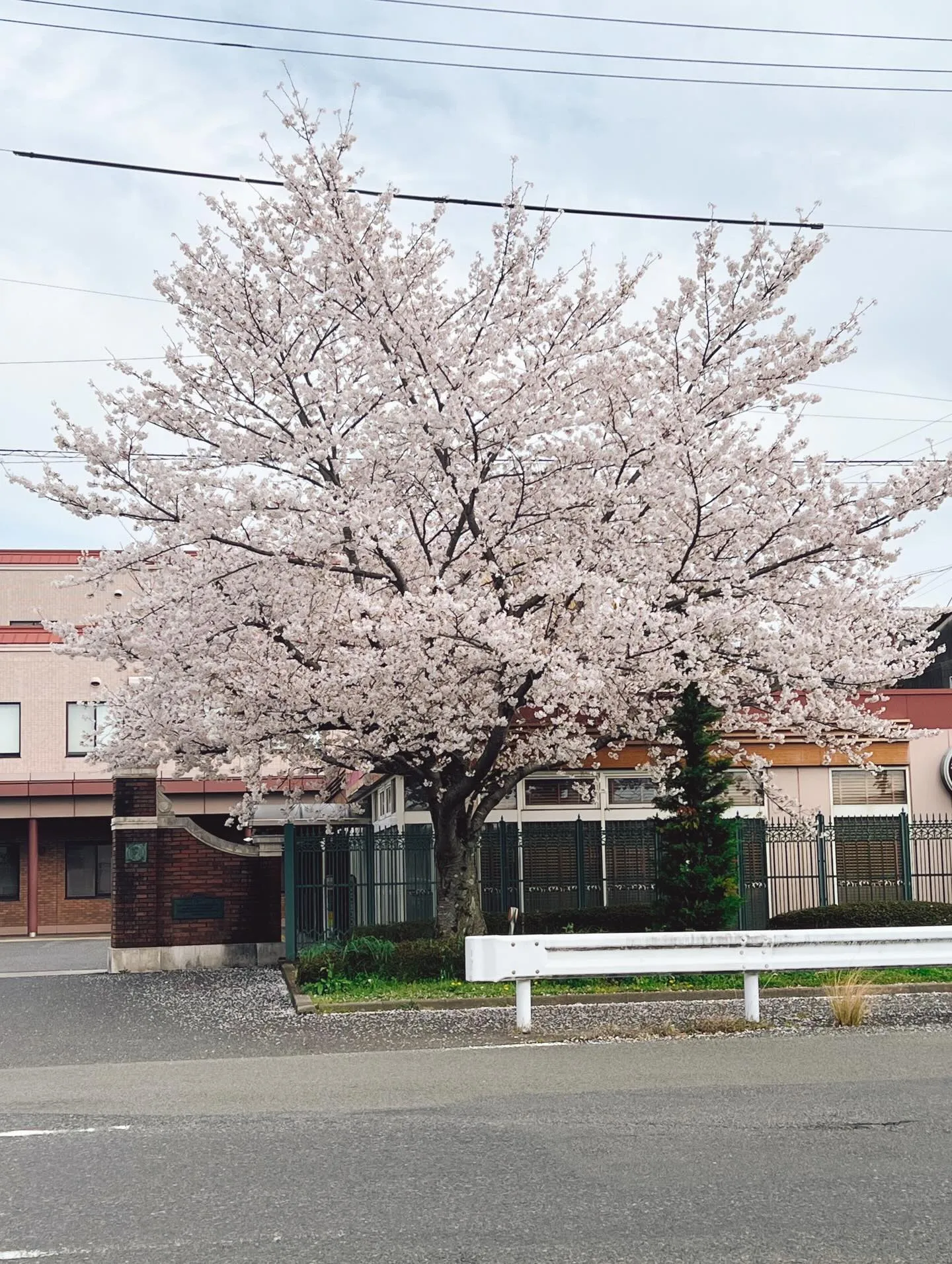 《 かがやけ!くらし商品券 》