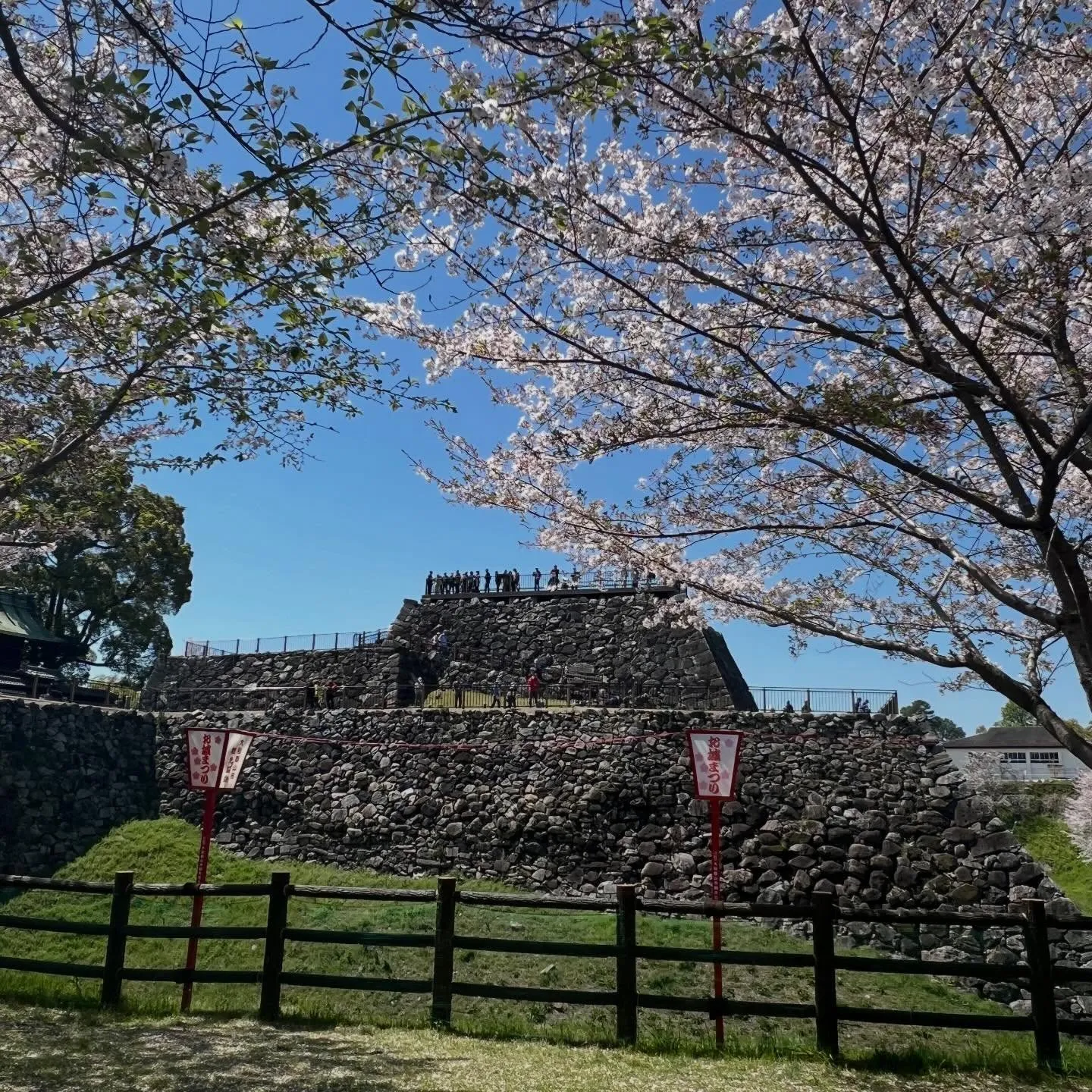 《 今週金、土限定アラカルト営業します 》