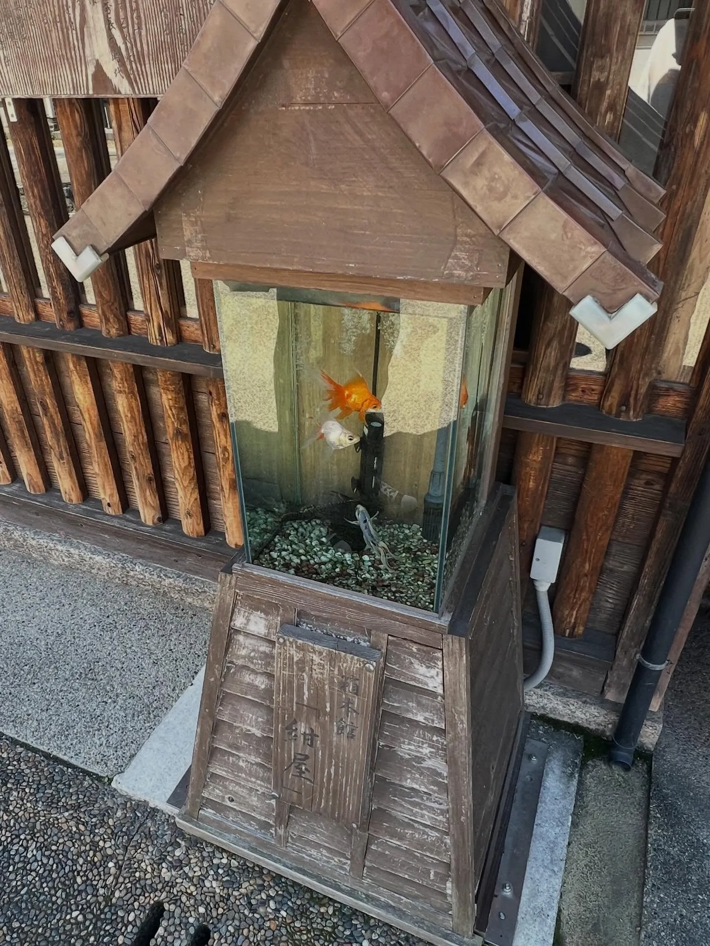 《 ディナーのご予約状況と営業予定 》