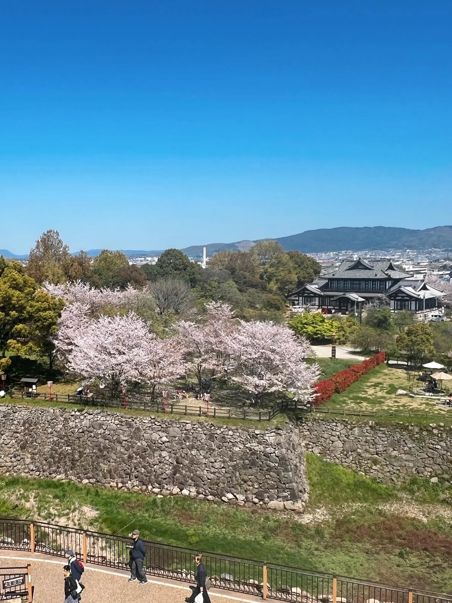 《 ディナーのご予約状況と営業予定 》