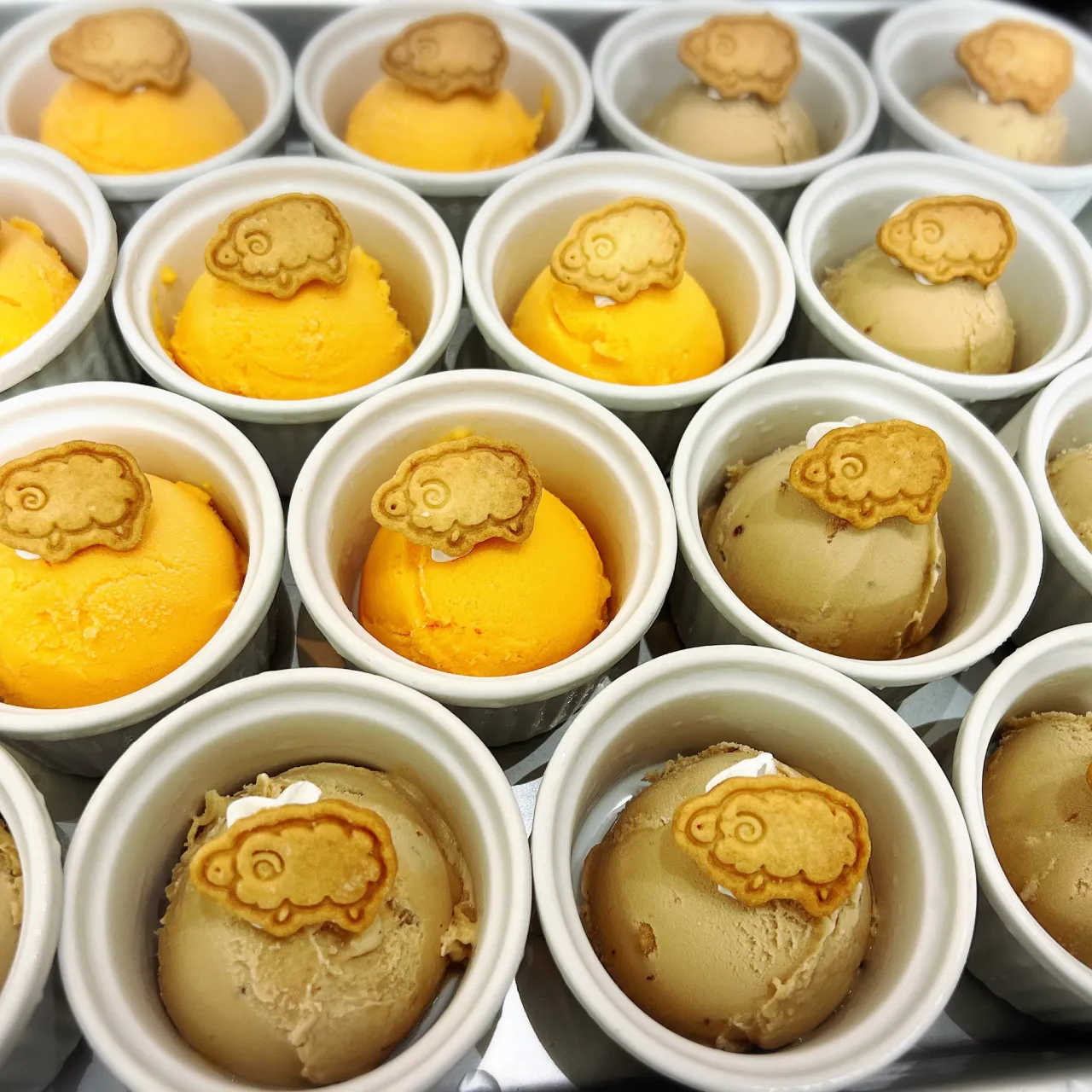《　振替休業🍽️　》